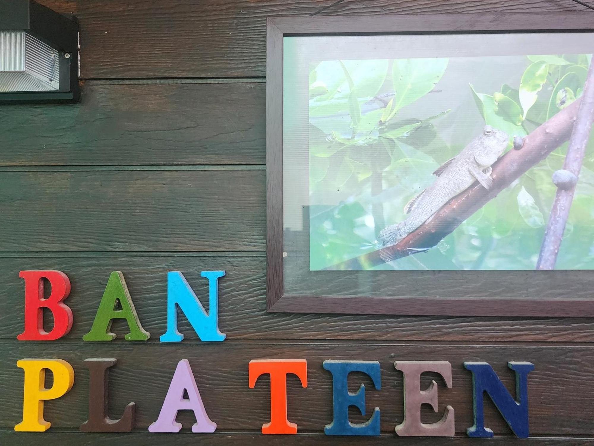 Phang Nga Bay Khanittha Homestay Ban Khiam المظهر الخارجي الصورة